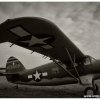 mg 515